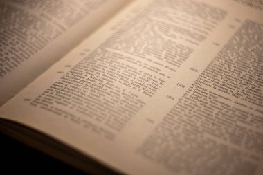 Latince metni olan bir kitabın makro fotoğrafçılığı, yapay ışık altında açık bir kitap sayfası