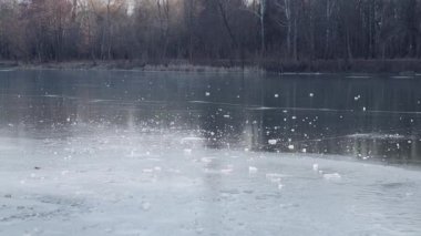 Donmuş bir nehir kış ışığını yansıtan buzlu bir kabukla kaplıdır. Kalıpları ve çatlakları olan mavi ve beyaz buz büyüleyici bir manzara yaratır.
