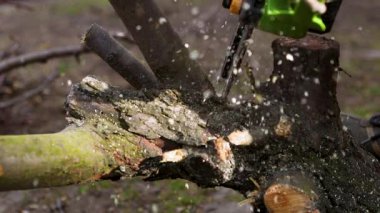 Elektrikli testereyle bir kütük kesiyordum. Ağaç dalını kesiyorum. Ağaç kesiyorum. Yakacak odun topluyorum. Talaşlar her yöne uçar.