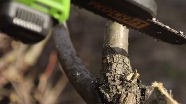 Elektrikli testereyle bir kütük kesiyordum. Ağaç dalını kesiyorum. Ağaç kesiyorum. Yakacak odun topluyorum. Talaşlar her yöne uçar.