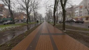 Kar tanelerinin filizlenen dallarla buluştuğu ve kışın son soğuğunu yenilenmenin erken belirtileriyle harmanladığı karlı bir bahar günü şehir sokaklarında yalnız bir yürüyüş..