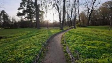 Taze yeşil çimenler ve tomurcuklanan ağaçlarla çevrili sessiz bir park yolu boyunca huzurlu bir yürüyüş ilkbaharın hafif uyanışını ve kışın ardından gelen sıcaklığın ilk işaretlerini yakalıyor..