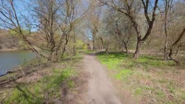 Nehir boyunca bir bahar ormanı yolu boyunca yürüyorum. Ağaçlarda taze yeşillik. Parlak güneşli bir gün.