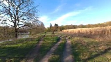 Tarla boyunca ve nehir boyunca araba sürüyorum. Baharın başlarında, taze yeşillik.