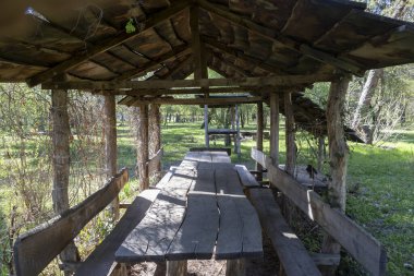 Ormanda piknik yapmak için tahta çardak.