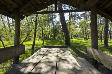 Ormanda piknik yapmak için tahta çardak.