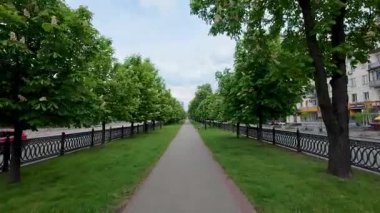 Çiçek açan kestane ağaçlarıyla dolu bir sokak boyunca bir yürüyüş.