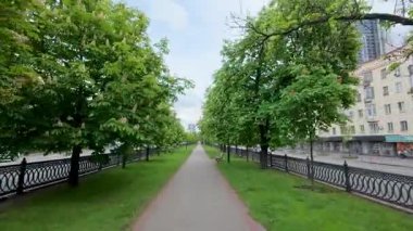 Çiçek açan kestane ağaçlarıyla dolu bir sokak boyunca bir yürüyüş.