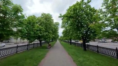 Çiçek açan kestane ağaçlarıyla dolu bir sokak boyunca bir yürüyüş.