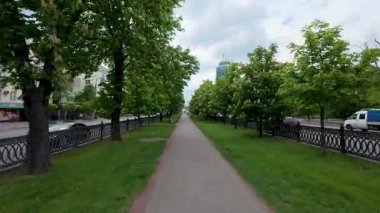 Çiçek açan kestane ağaçlarıyla dolu bir sokak boyunca bir yürüyüş.