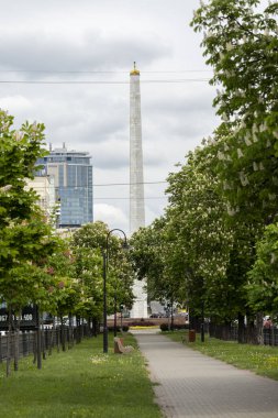 Çiçek açan kestane ağaçlarıyla dolu boş bir sokak. Bulvarları ve arabaları olan modern bir metropolde doğanın bir köşesi..