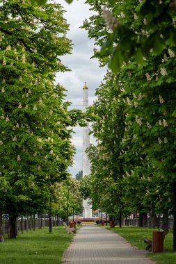 Çiçek açan kestane ağaçlarıyla dolu boş bir sokak. Bulvarları ve arabaları olan modern bir metropolde doğanın bir köşesi..