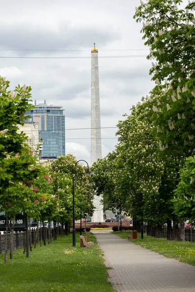 Çiçek açan kestane ağaçlarıyla dolu boş bir sokak. Bulvarları ve arabaları olan modern bir metropolde doğanın bir köşesi..