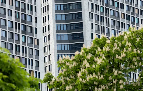 Önlerinde bulunan yemyeşil çiçek açan kestane ağaçlarının zemininde gururla duran yüksek binalar manzaranın güzelliğini artırıyor..