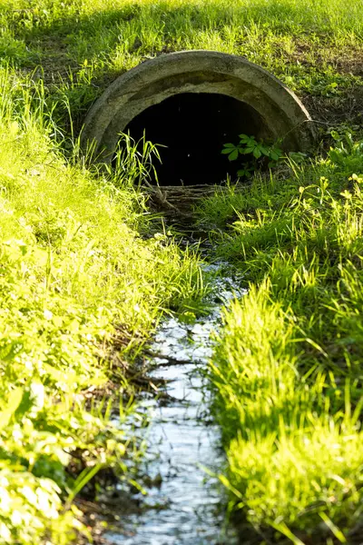 Küçük bir su akıntısı, doğal yeşillik tarafından çerçevelenmiş yuvarlak beton drenaj borusuna doğru akar ve kentsel altyapıyı doğanın sükunetiyle birleştirir..
