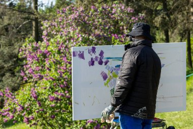 2025.05.01, Kyiv, Ukrayna: Bir sanatçı çiçek açan leylaklarla çevrili bir botanik bahçesinde sessizce resim yapar. Tuvalleri, doğanın canlı renklerini ve sakin güzelliğini yakalıyor. Etrafında yumuşak yapraklar ve yeşillikler var..