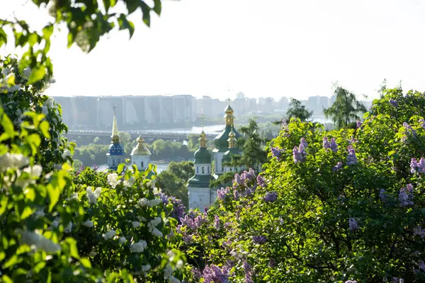 Altın kubbeleri olan güzel bir kilise yumuşak bir leylak gökyüzüne karşı zarif bir şekilde yükselir. Süslü ayrıntıları ışıkta parlar. Huzurla çevrelenmiş, huzur, maneviyat ve sonsuz zarafet yayıyor..