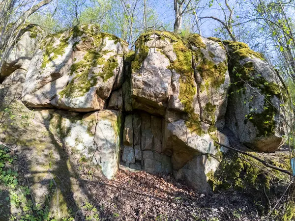 Yosun kaplı bir yığın kaya, dağlık bir bölgede, yabani otlar ve engebeli arazilerle çevrili bir yerde sessizce duruyor. Yeşil yosun, açık gökyüzünün altındaki gri taşlarla çelişiyor..