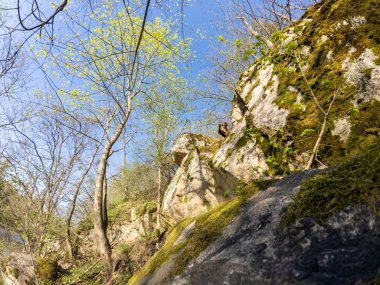Yosun kaplı bir yığın kaya, dağlık bir bölgede, yabani otlar ve engebeli arazilerle çevrili bir yerde sessizce duruyor. Yeşil yosun, açık gökyüzünün altındaki gri taşlarla çelişiyor..