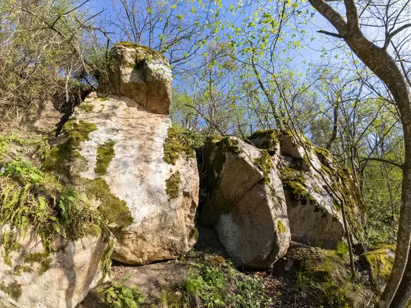 Yosun kaplı bir yığın kaya, dağlık bir bölgede, yabani otlar ve engebeli arazilerle çevrili bir yerde sessizce duruyor. Yeşil yosun, açık gökyüzünün altındaki gri taşlarla çelişiyor..