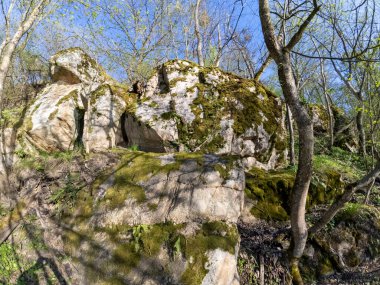 Yosun kaplı bir yığın kaya, dağlık bir bölgede, yabani otlar ve engebeli arazilerle çevrili bir yerde sessizce duruyor. Yeşil yosun, açık gökyüzünün altındaki gri taşlarla çelişiyor..