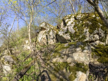 Yosun kaplı bir yığın kaya, dağlık bir bölgede, yabani otlar ve engebeli arazilerle çevrili bir yerde sessizce duruyor. Yeşil yosun, açık gökyüzünün altındaki gri taşlarla çelişiyor..