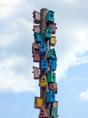 Renkli ahşap kuş evleri yaz mavi gökyüzü karşı bir ağaç üzerinde bir sürü