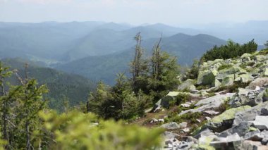 Dağ manzarasının güzel yaz manzarası