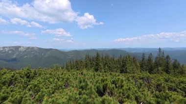 Yeşil vadilerle, ormanlık yamaçlarla ve açık mavi gökyüzünün altındaki uzak tepelerle uzanan güzel bir yaz manzarası. Sıcak güneş ışığı, doğal güzelliği ve huzurlu atmosferi vurgular..