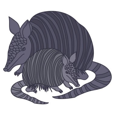 Pair of armadillos, mom and baby animal in doodle style vector illustration