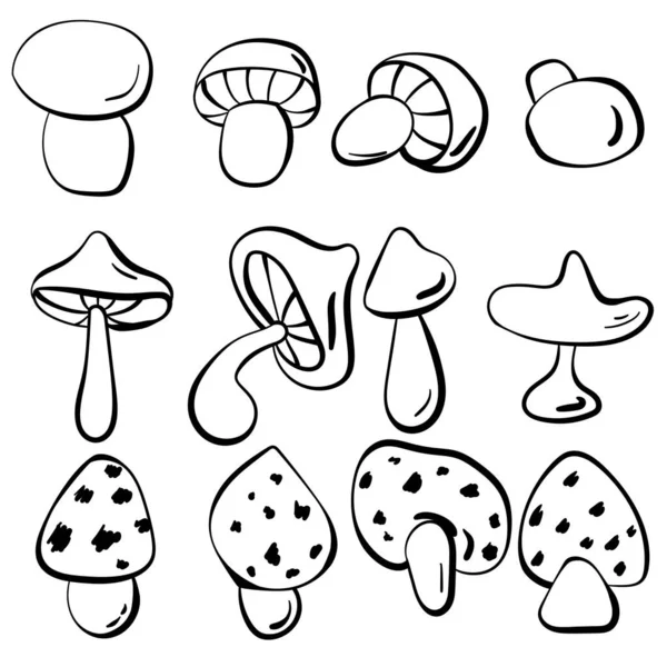 Schema Set Funghi Funghi Scarabocchi Varie Forme Dimensioni Illustrazione Vettoriale — Vettoriale Stock