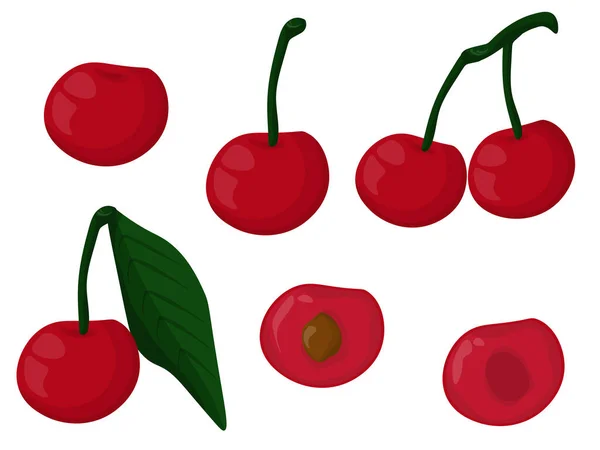 Rote Kirsche Set Saftige Frucht Mit Einem Kern Innen Ganz — Stockvektor
