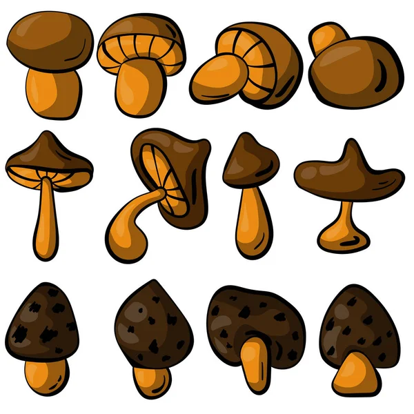 Set Funghi Tonalità Marroni Funghi Scarabocchi Varie Forme Dimensioni Illustrazione — Vettoriale Stock