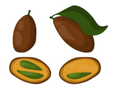 Koyu renkli egzotik meyveler, parlak tohumlar, sulu geniş yapraklı Clausena bitkisi, vektör illüstrasyonu.