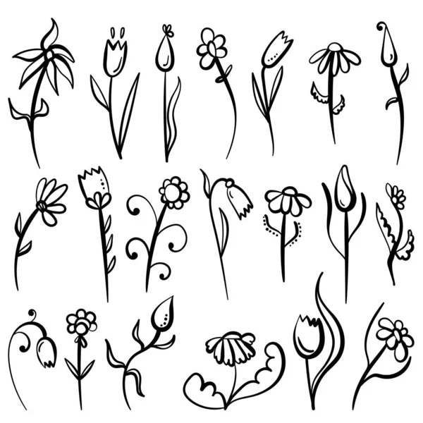 Uppsättning Doodle Kontur Blommor Med Olika Alternativ För Blad Och — Stock vektor