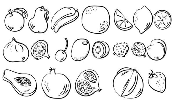 以涂鸦式 等高线整体和切片水果向量图解的一组概要水果 — 图库矢量图片