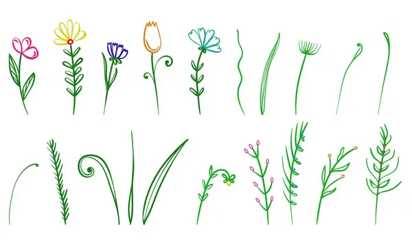 Ensemble Fleurs Plantes Doodle Motifs Végétaux Linéaires Simples Pour Illustration — Image vectorielle