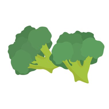 İki brokoli, vitamin vektör çizimi açısından zengin sağlıklı yeşil bir sebze.