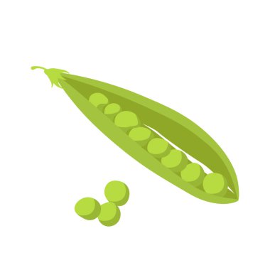 Bezelye kabuğu ve bezelye, düz şekilli sağlıklı sebze Desvector Illustration ign için