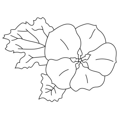 Yapraklı Nicandra çiçeği, bahçe gölgesi bitki eli yaratıcılık ve çocuk aktivitesi için renklendirme sayfası çizimi