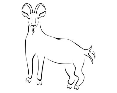 Bir keçinin stilize edilmiş silueti, doğu yıldız falı çizimi için evcil hayvan sembolü.