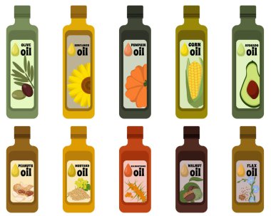 Sebze yağlı şişeler, bitkilerden ve tohumlarından elde edilen çeşitli sağlıklı gıda ürünlerinin vektör çizimi. 