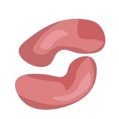 Biftek böbrekleri, yemek pişirmek için et malzemesi.