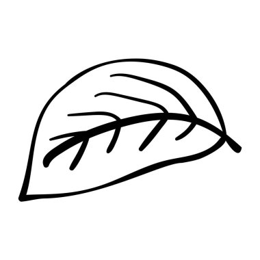 Çizgi biçimli yaprak, tasarım için basit kontür bitki elementi