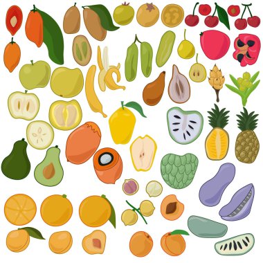 Set of various tropical fruits whole and halves in flat style clipart