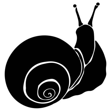 Omurgasız bir hayvan salyangozunun silueti, mide yumuşakçasının basit bir örneği.