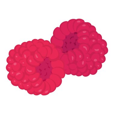 İki ahududu, tasarım için sağlıklı sulu meyve.