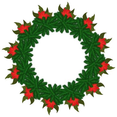 Spruce dalları ve poinsettia çiçekli Noel çelengi tasarım için vektör illüstrasyonu