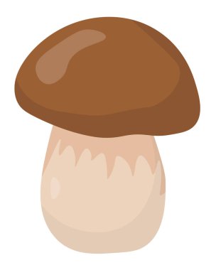 Boletus yenilebilir mantar popüler düz stil, eğitim veya tasarım için orman vektörü illüstrasyonunda büyüyen element