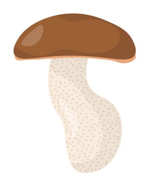 Boletus scaber wild edible mushroom in flat style, element growing in forest for education or design vector illustration clipart